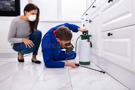 Best Commercial Pest Control  in Pemberwick, CT