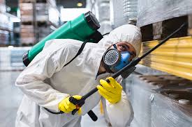 Best Pest Exclusion Services  in Pemberwick, CT